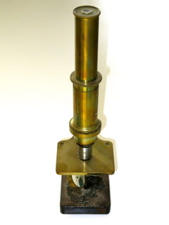 Profilo Professionale 1 Microscopio